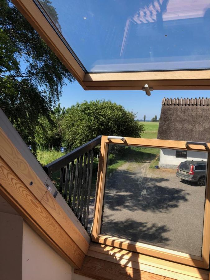 Fridfullt Boende Pa Lantgard Med Underbar Utsikt 馬爾默 外观 照片